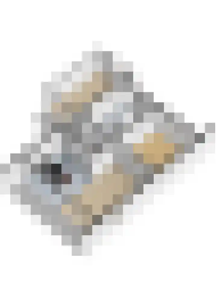 Karwijhof 35 Nagele thumbnail 44
