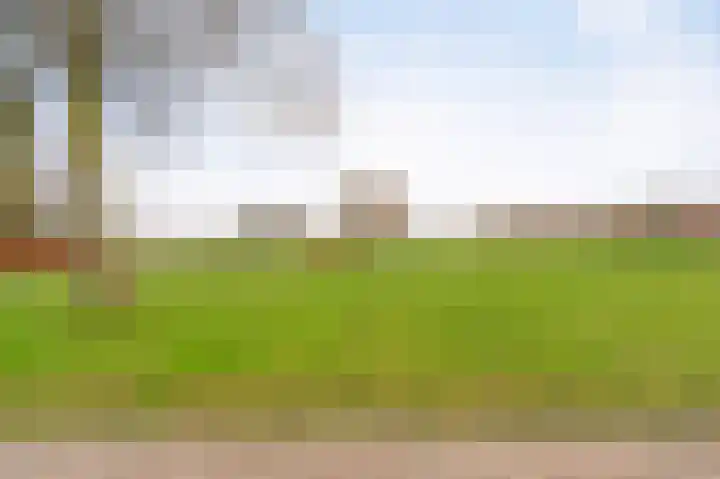 Karwijhof 35 Nagele thumbnail 5