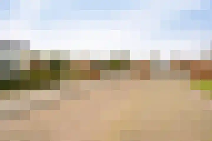 Karwijhof 35 Nagele thumbnail 6