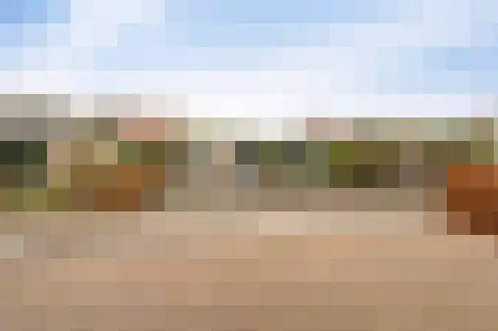 Karwijhof 35 Nagele thumbnail 7