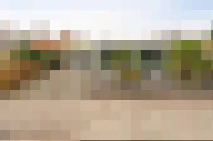 Karwijhof 35 Nagele thumbnail 9