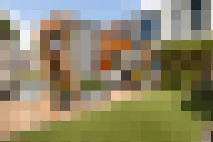Karwijhof 6 Biddinghuizen thumbnail 25