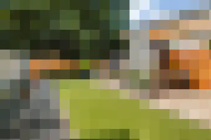 Karwijhof 6 Biddinghuizen thumbnail 27