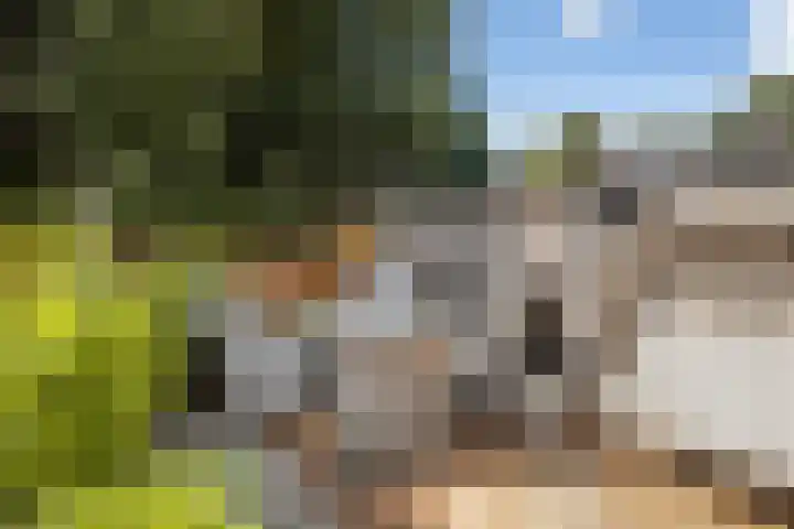 Karwijhof 6 Biddinghuizen thumbnail 28
