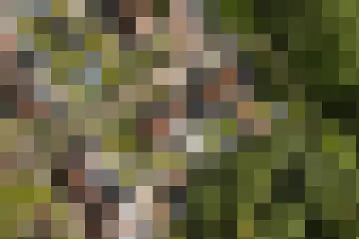 Karwijhof 6 Biddinghuizen thumbnail 29