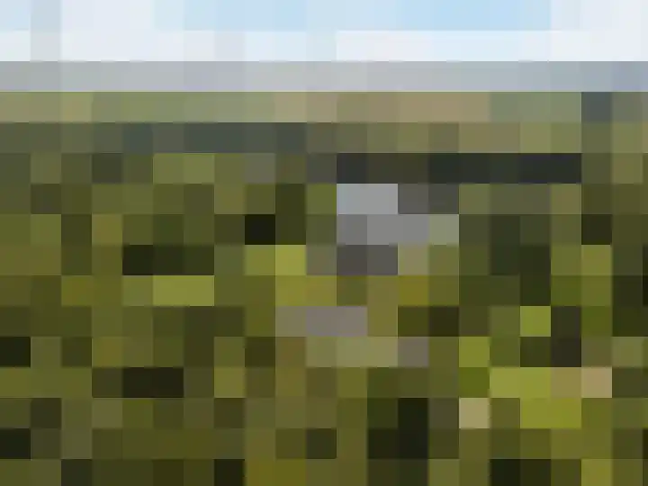 Karwijhof 6 Biddinghuizen thumbnail 32