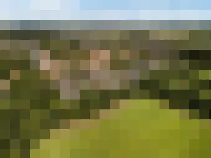 Karwijhof 6 Biddinghuizen thumbnail 33