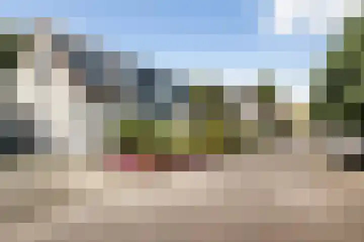 Karwijhof 6 Biddinghuizen thumbnail 6