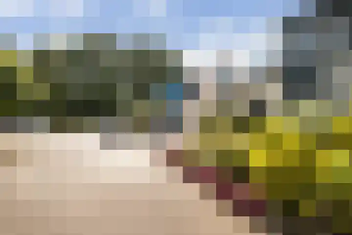 Karwijhof 6 Biddinghuizen thumbnail 7