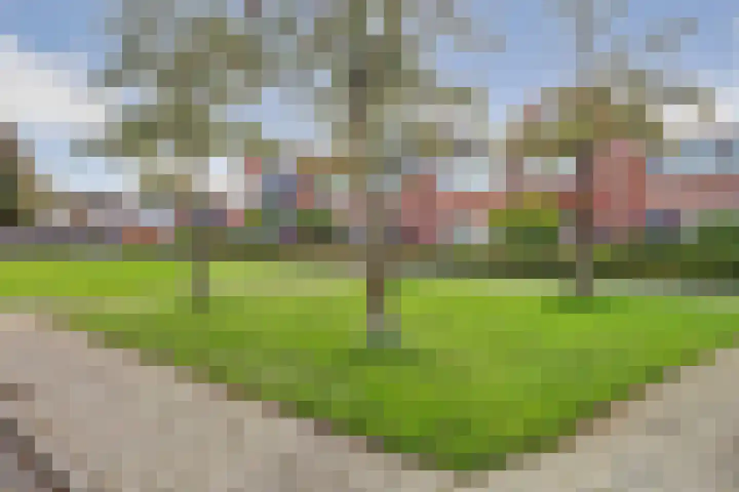 Karwijstraat 10 Hoogvliet Rotterdam thumbnail 29