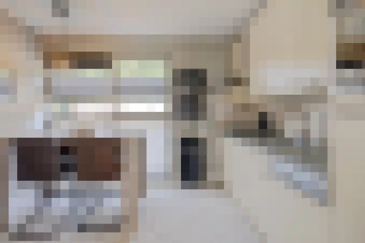 Karwijstraat 10 Hoogvliet Rotterdam thumbnail 4