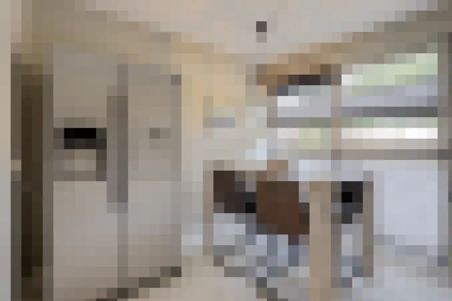 Karwijstraat 10 Hoogvliet Rotterdam thumbnail 7