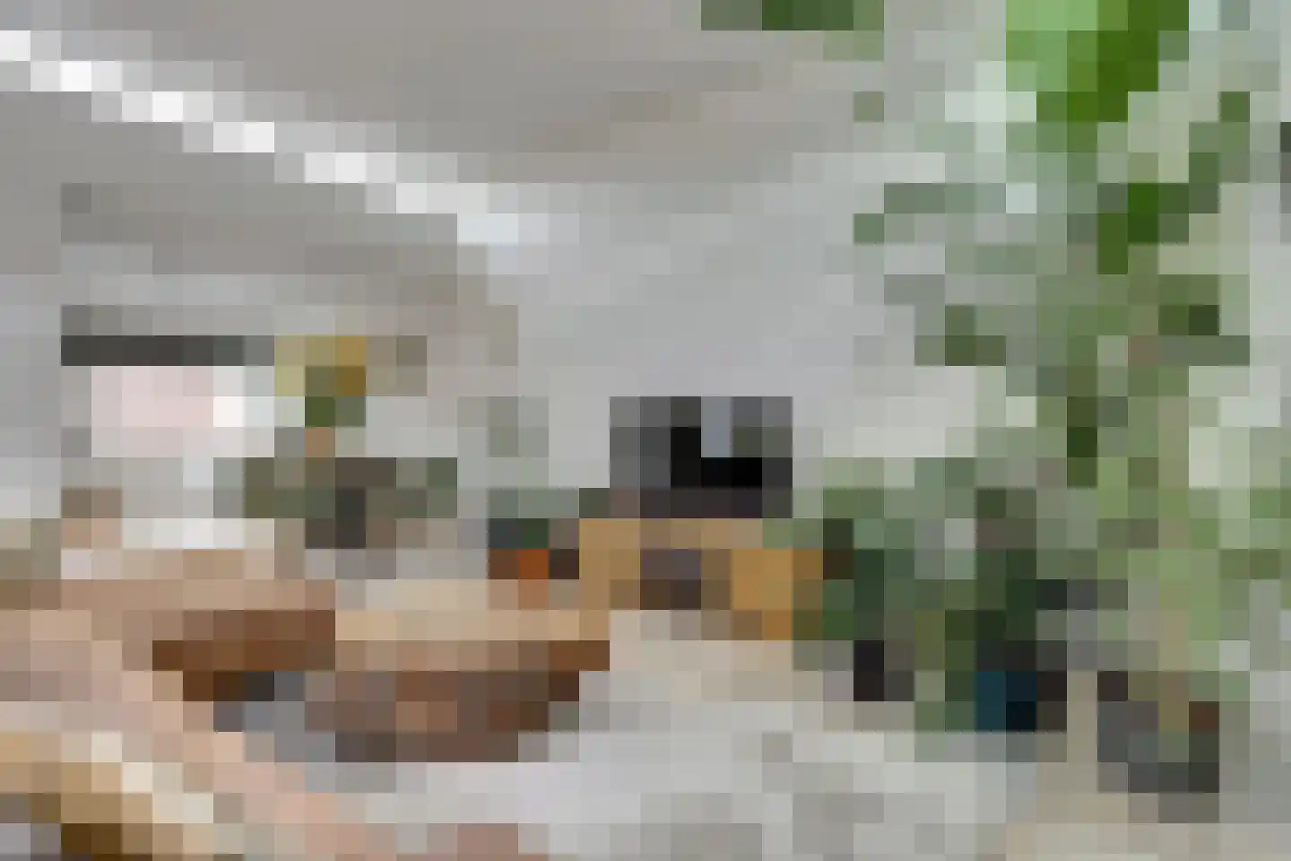 Karwijstraat 22 Utrecht thumbnail 7