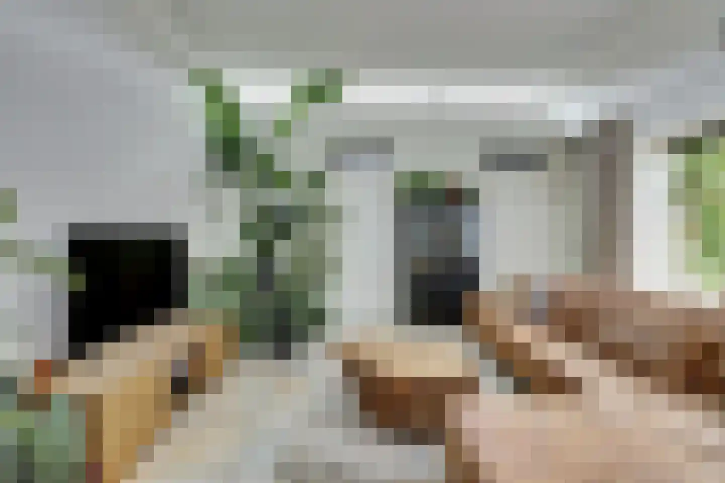 Karwijstraat 22 Utrecht thumbnail 8