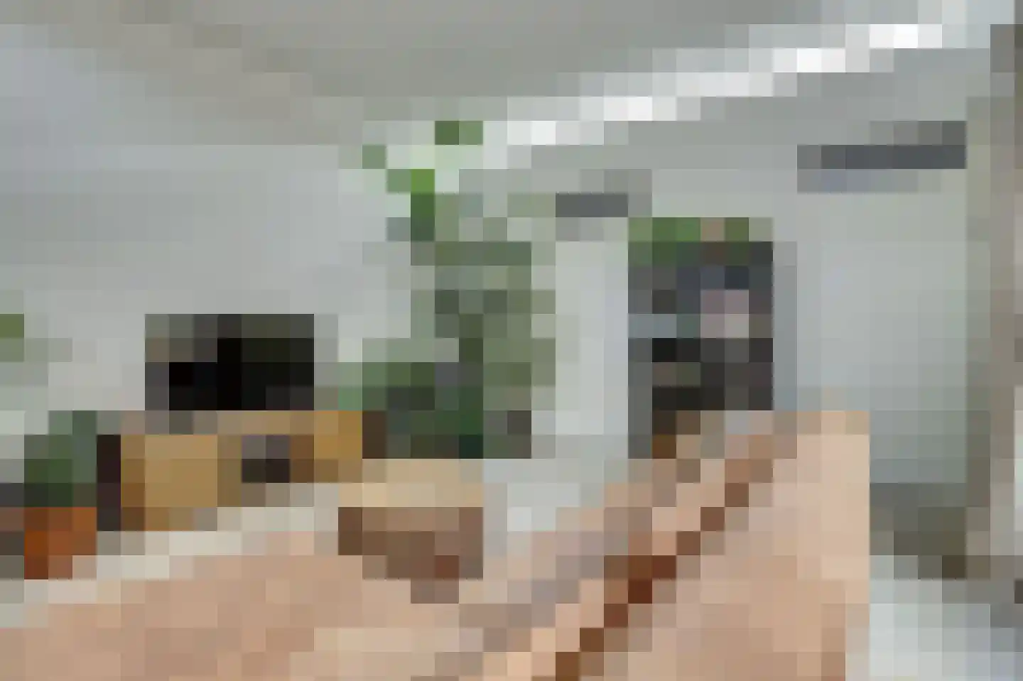 Karwijstraat 22 Utrecht thumbnail 9