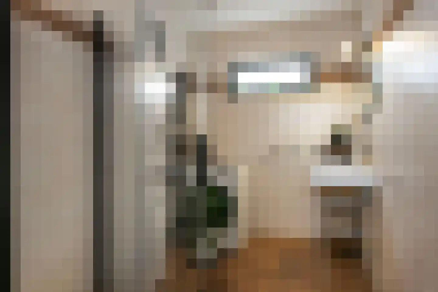 Karwijstraat 26 Utrecht thumbnail 19