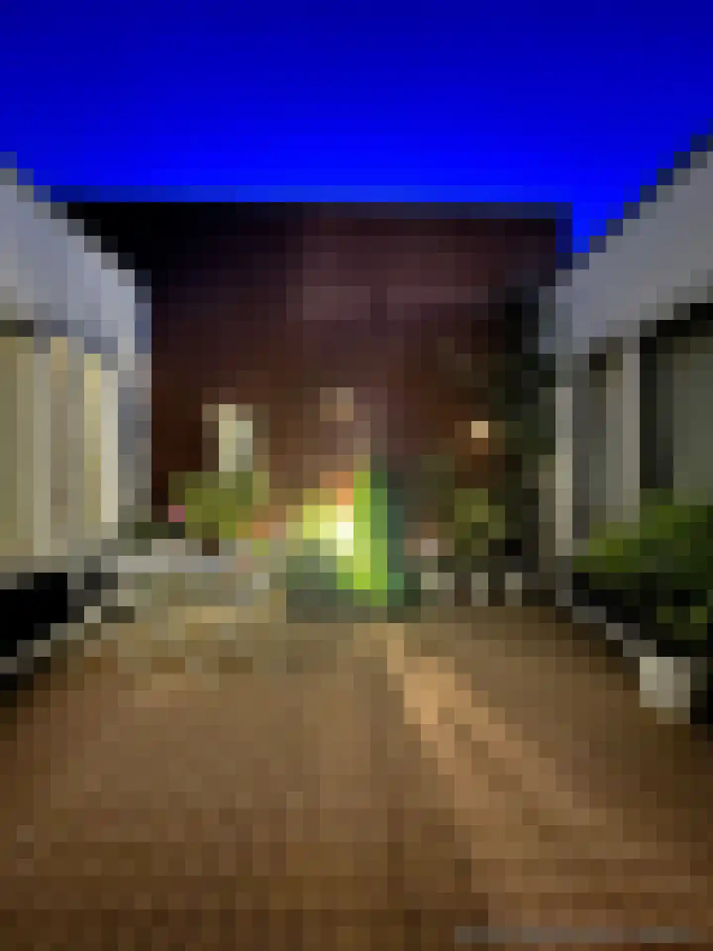 Karwijstraat 26 Utrecht thumbnail 26