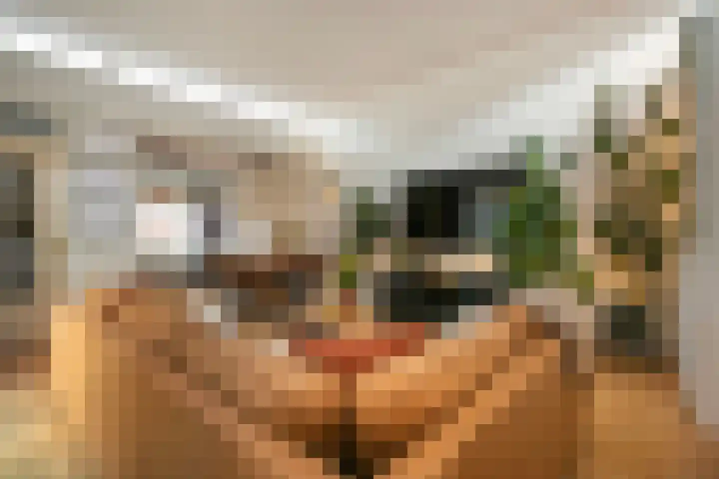 Karwijstraat 26 Utrecht thumbnail 4