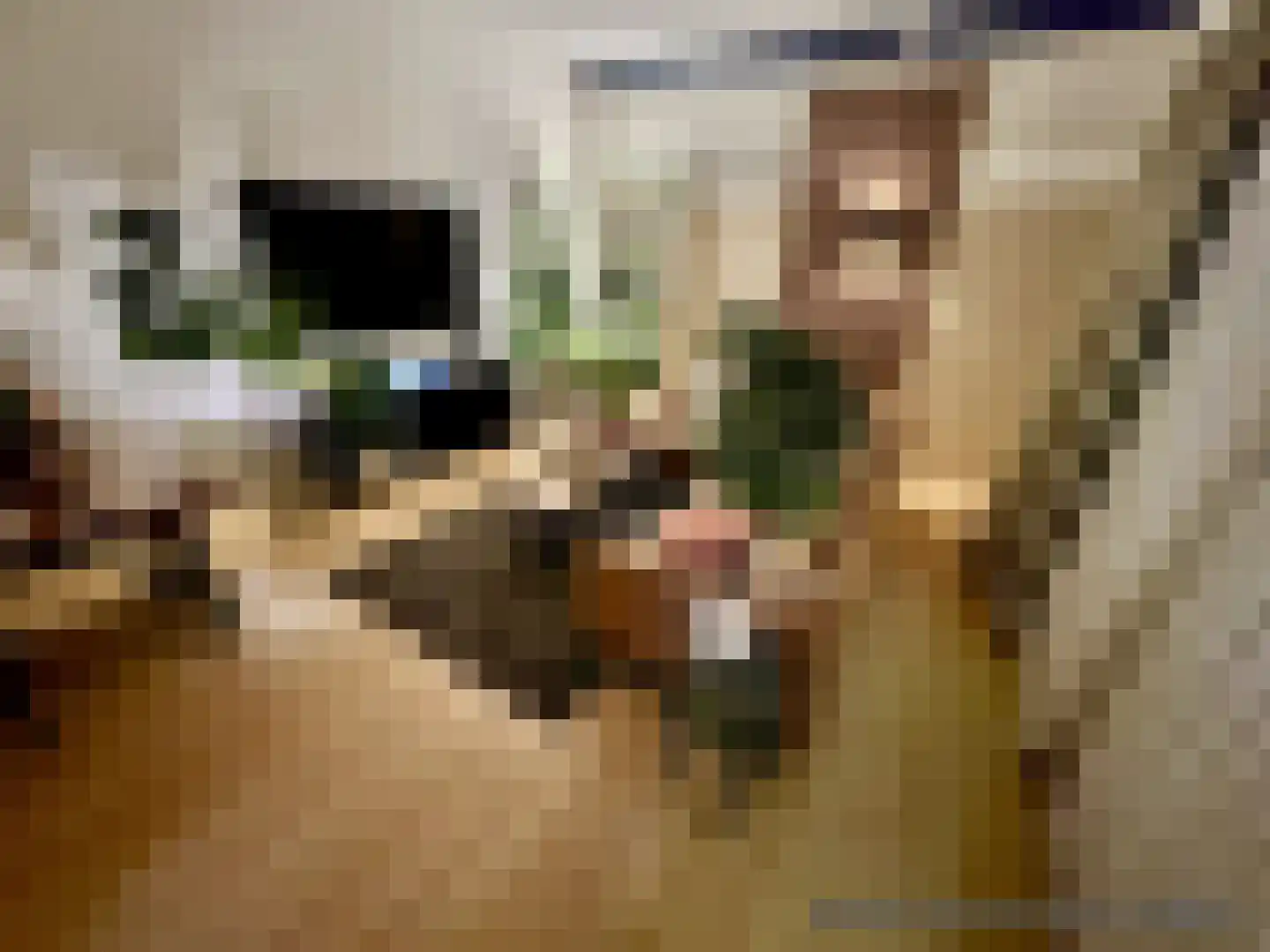 Karwijstraat 26 Utrecht thumbnail 6