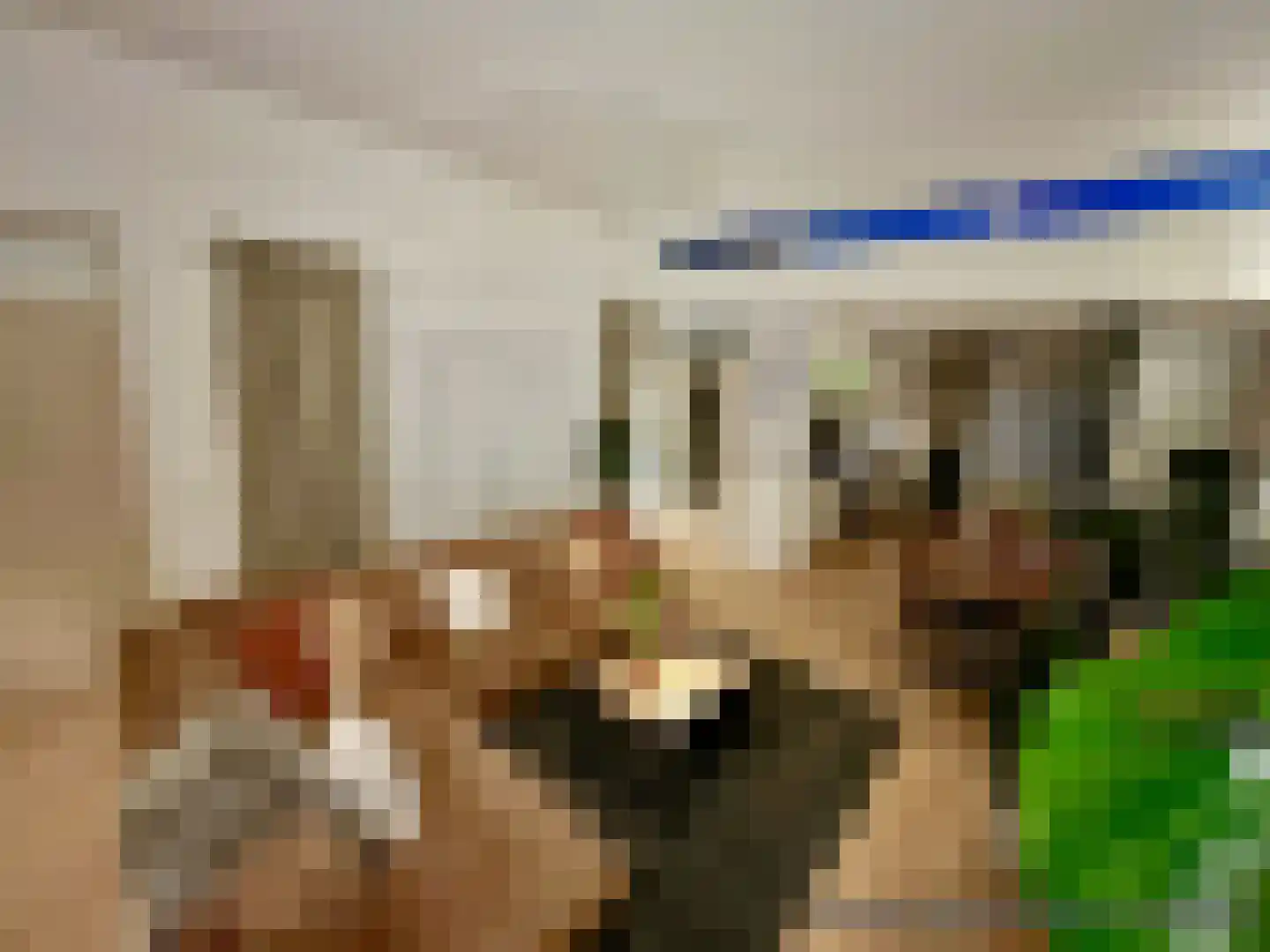 Karwijstraat 26 Utrecht thumbnail 7
