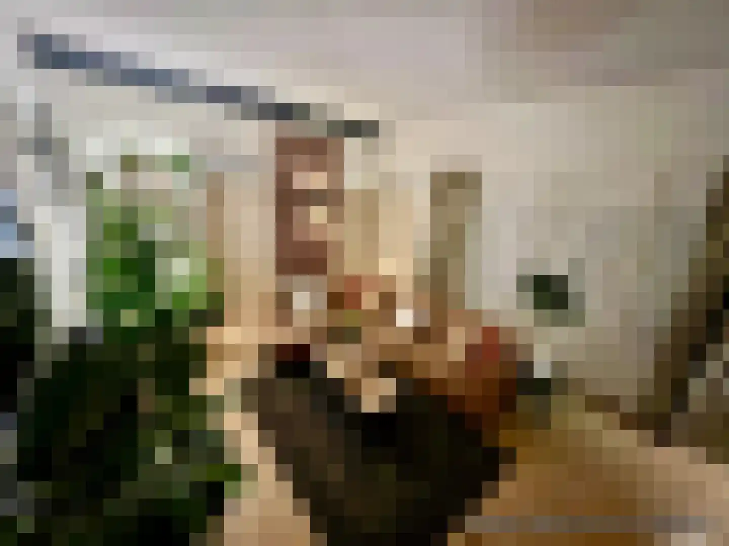 Karwijstraat 26 Utrecht thumbnail 8