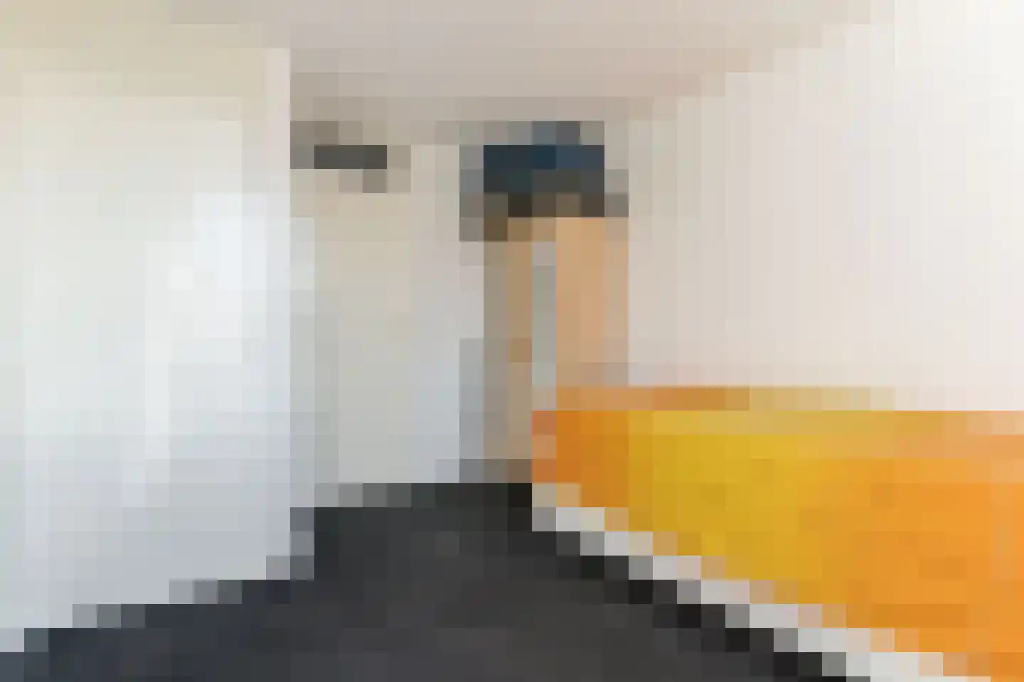 Karwijstraat 54 Hoogvliet Rotterdam thumbnail 20
