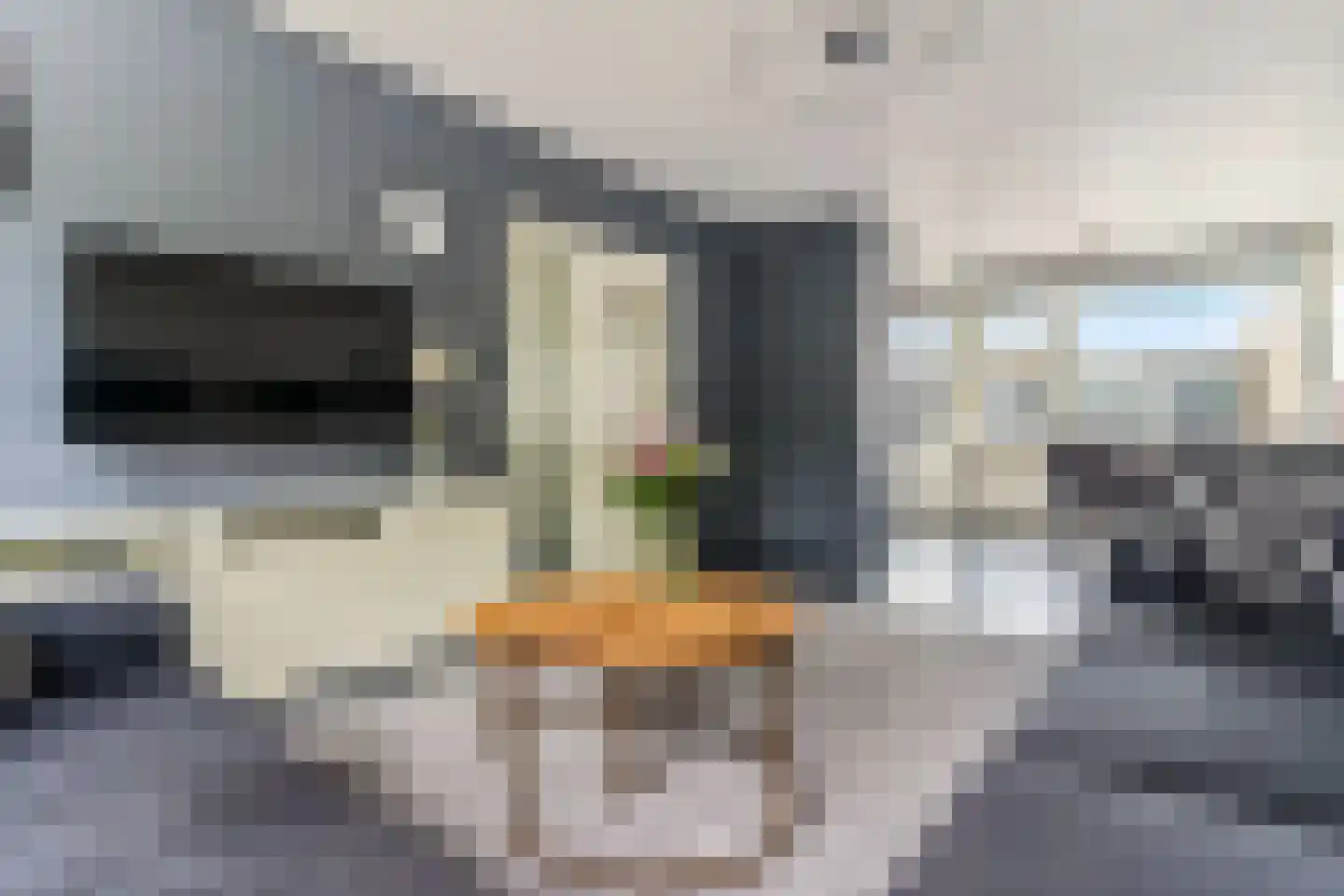 Karwijstraat 54 Hoogvliet Rotterdam thumbnail 7