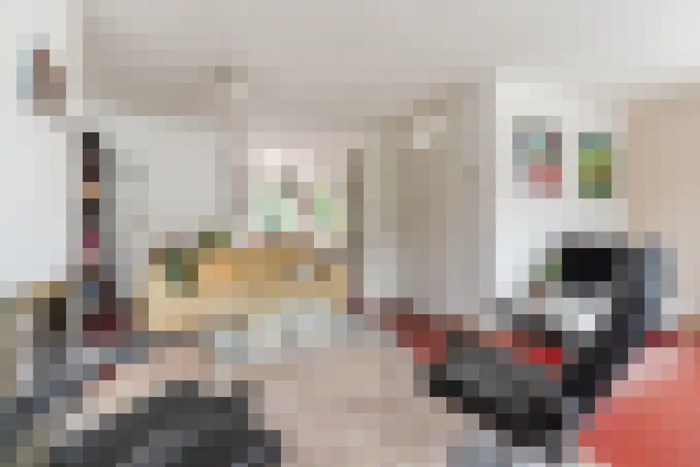 Karwijveld 13 Veghel thumbnail 21