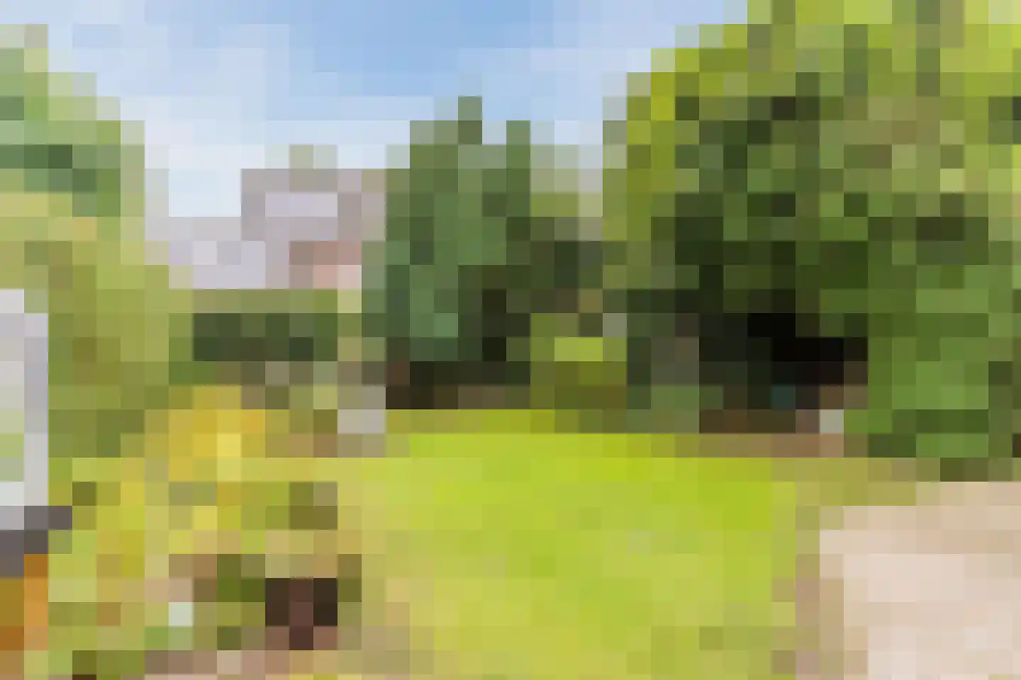 Karwijveld 13 Veghel thumbnail 50