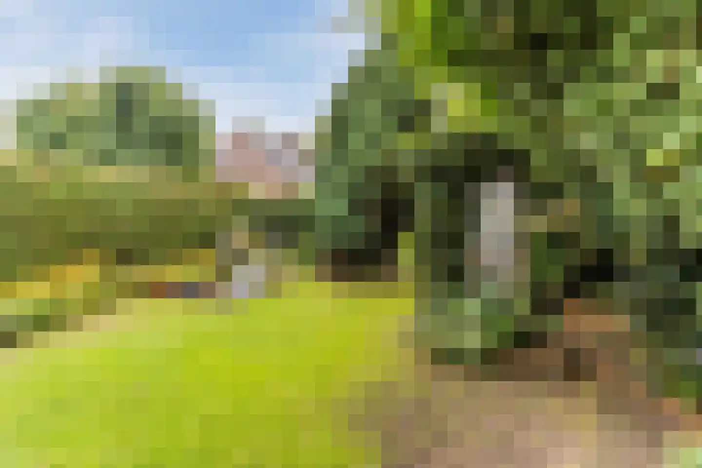 Karwijveld 13 Veghel thumbnail 51