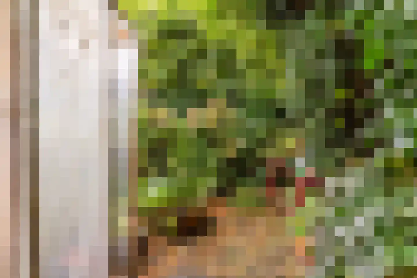 Karwijveld 13 Veghel thumbnail 52