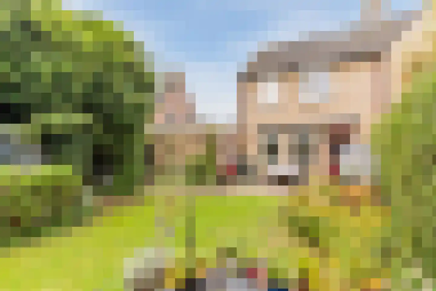 Karwijveld 13 Veghel thumbnail 53