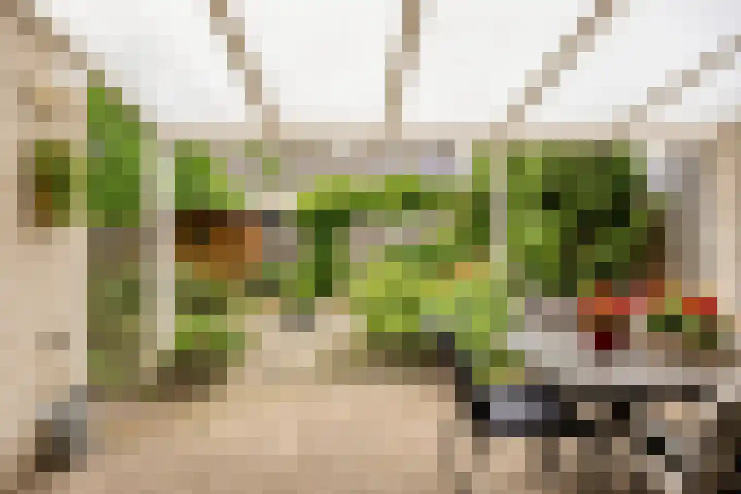 Karwijveld 22 Veghel thumbnail 38