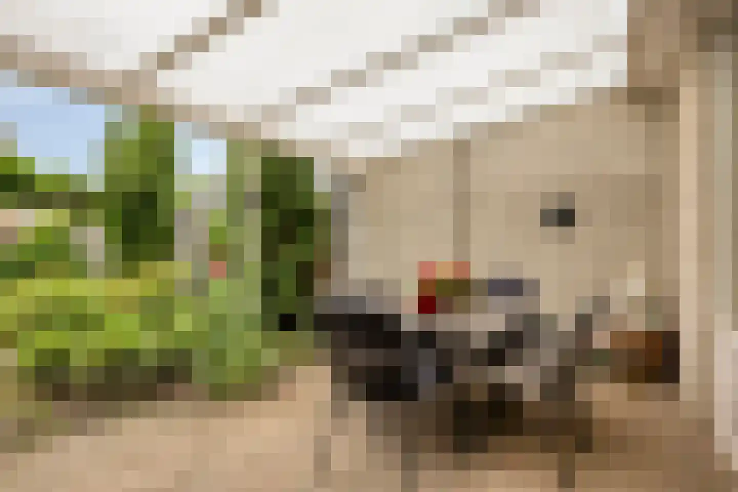 Karwijveld 22 Veghel thumbnail 39