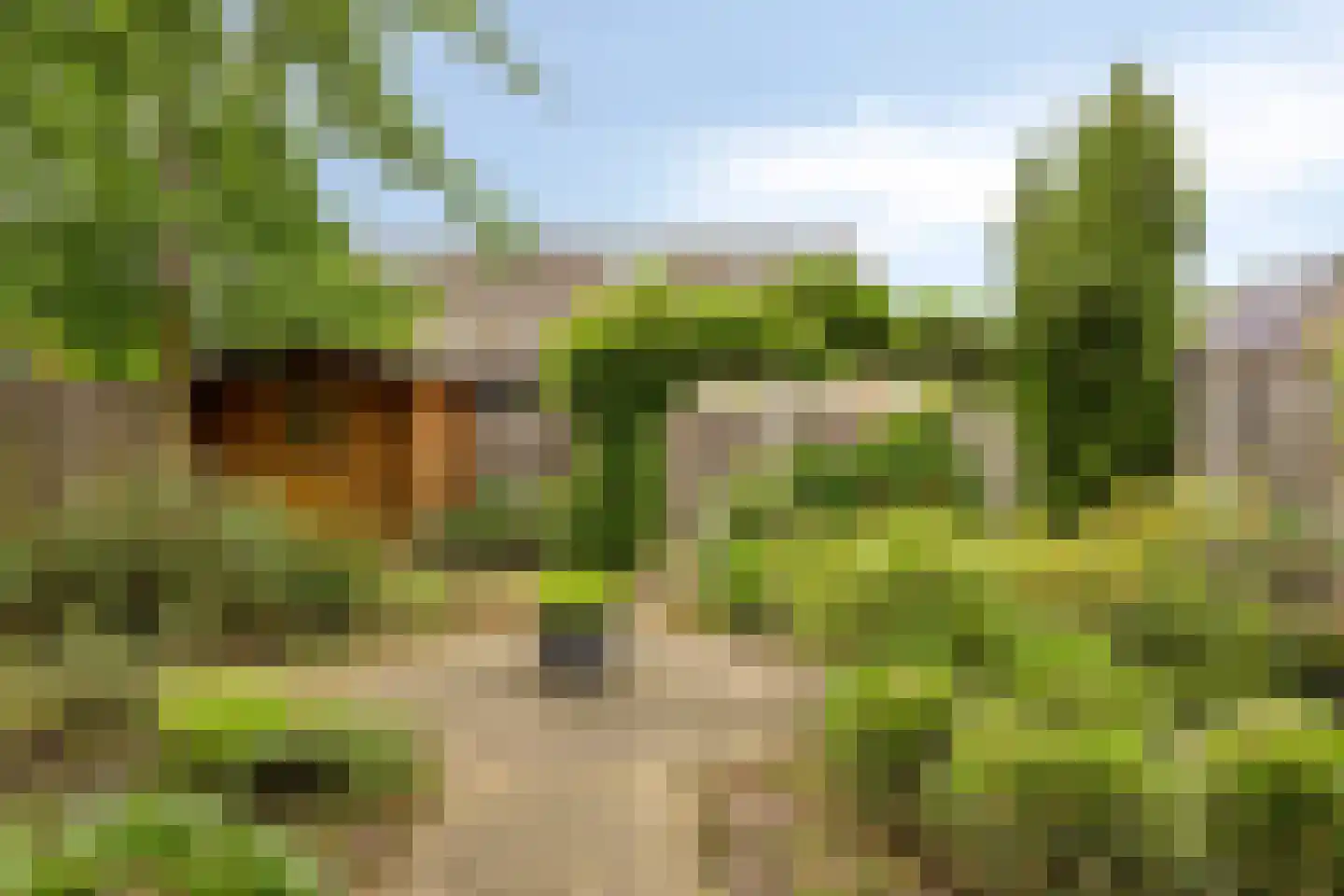 Karwijveld 22 Veghel thumbnail 40