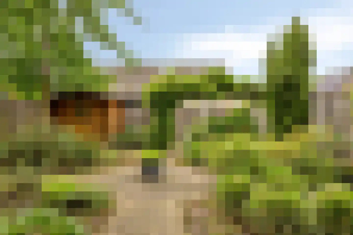 Karwijveld 22 Veghel thumbnail 40