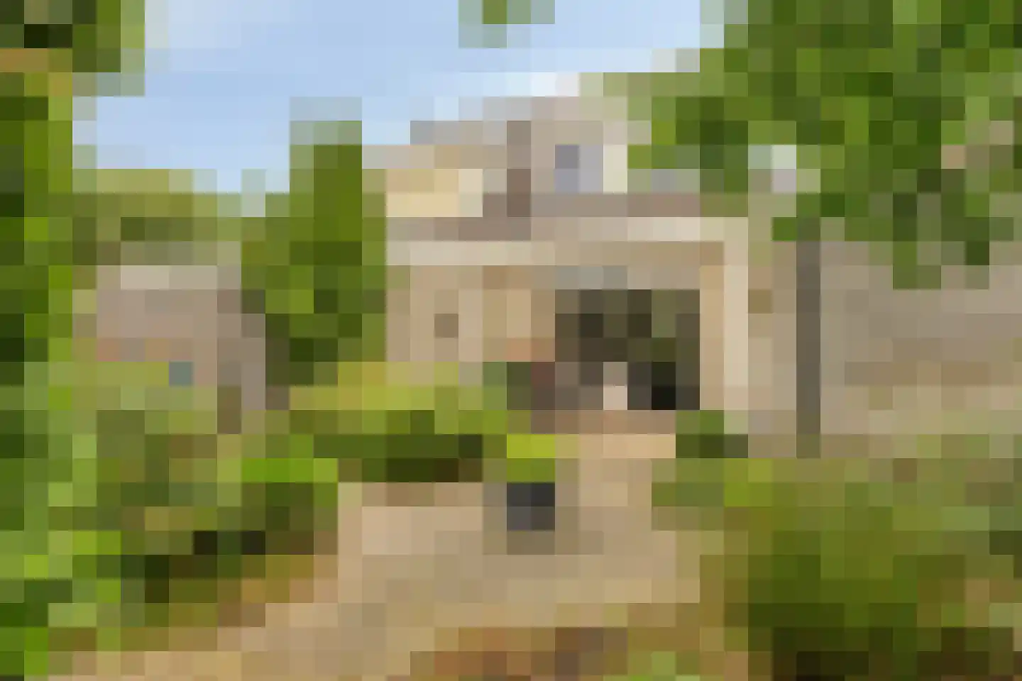 Karwijveld 22 Veghel thumbnail 43