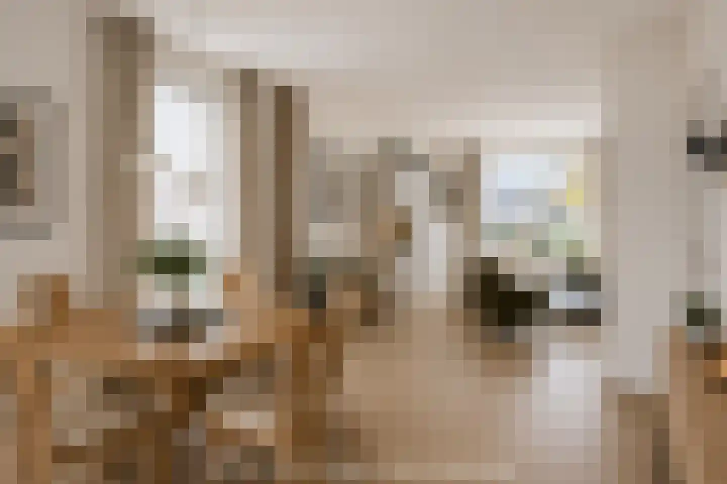 Karwijveld 5 Veghel thumbnail 11