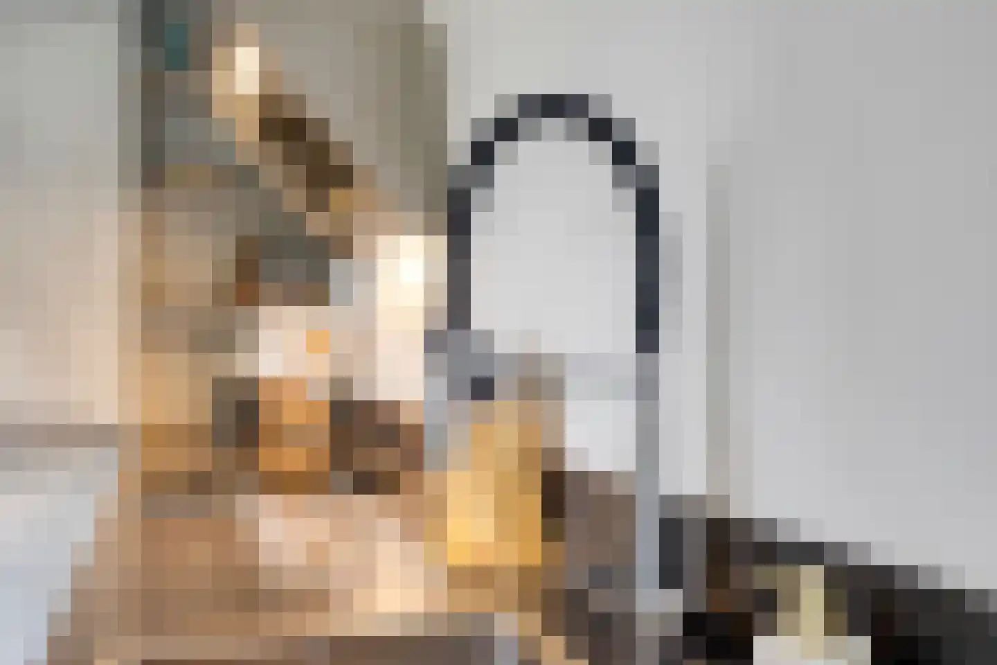 Karwijveld 5 Veghel thumbnail 13