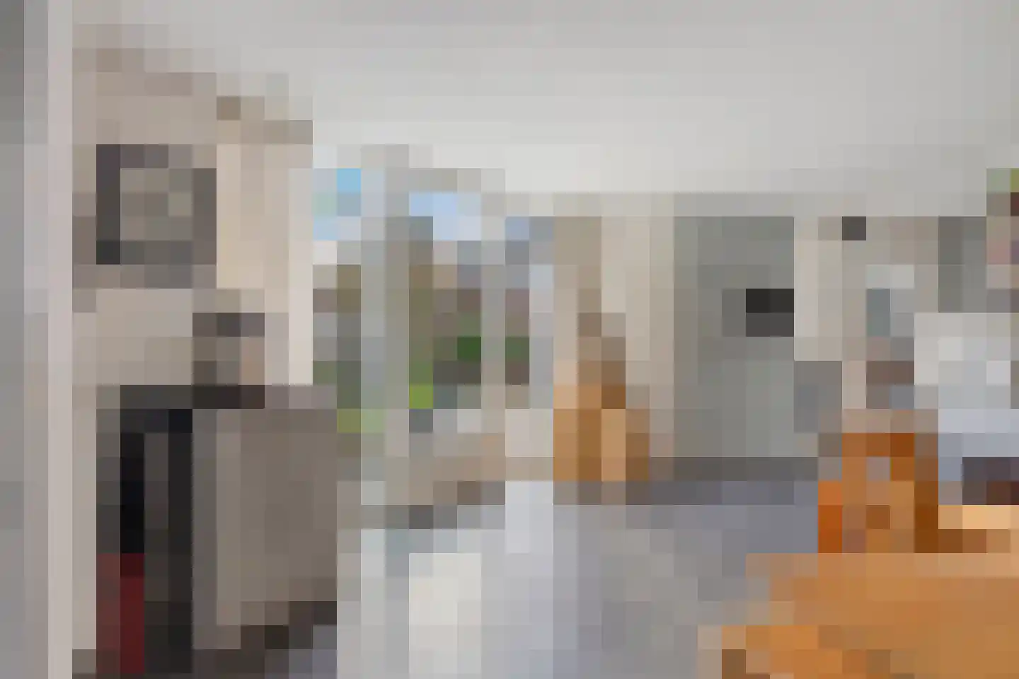 Karwijveld 5 Veghel thumbnail 16