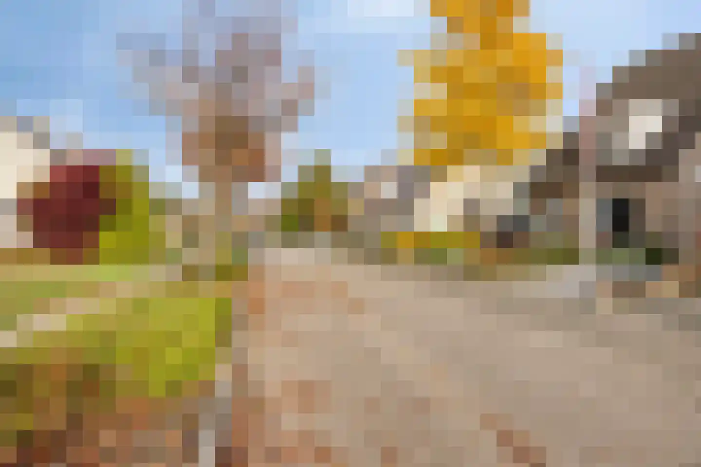 Karwijveld 5 Veghel thumbnail 32