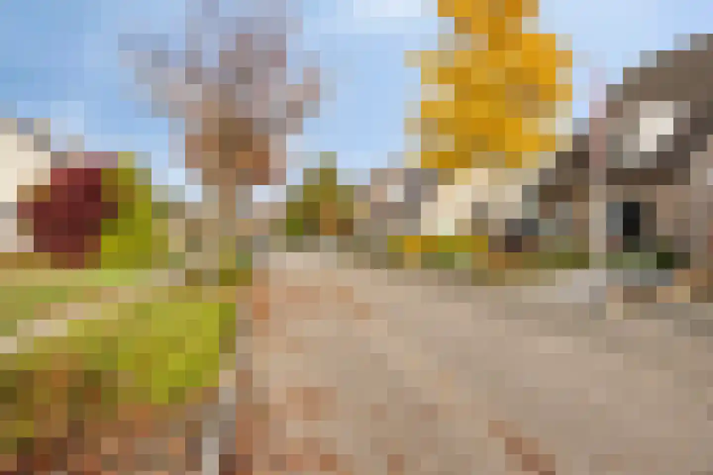 Karwijveld 5 Veghel thumbnail 32