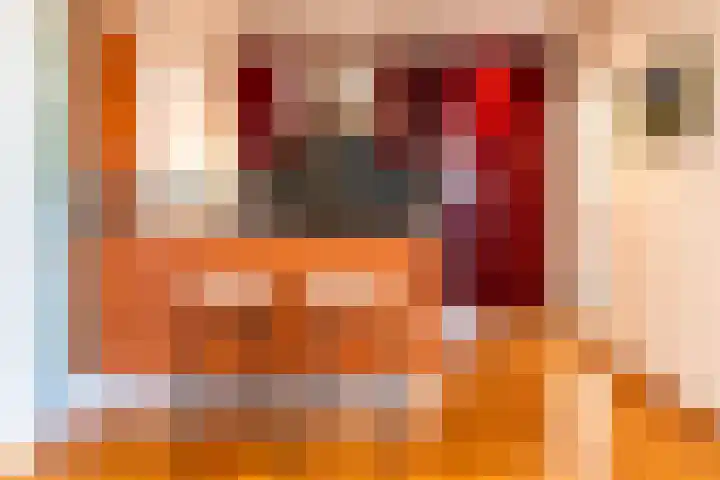 Kas 21 Aalsmeer thumbnail 16