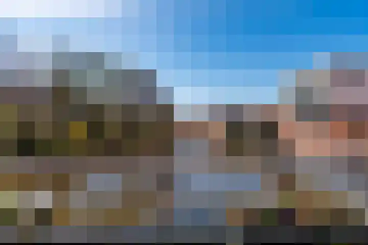 Kas 21 Aalsmeer thumbnail 4