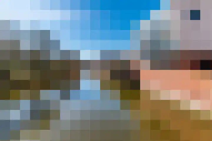 Kas 21 Aalsmeer thumbnail 9