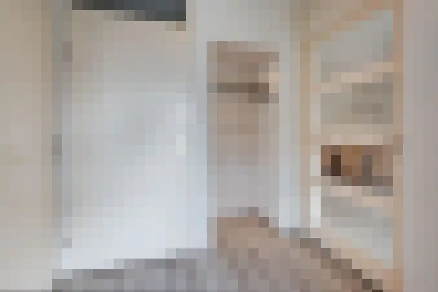 Kas 7 Aalsmeer thumbnail 15