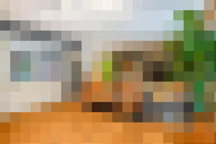 Kasennerweg 11 Bunde thumbnail 10