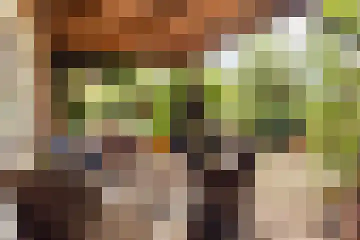 Kasennerweg 11 Bunde thumbnail 25