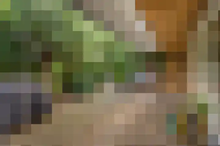 Kasennerweg 11 Bunde thumbnail 26