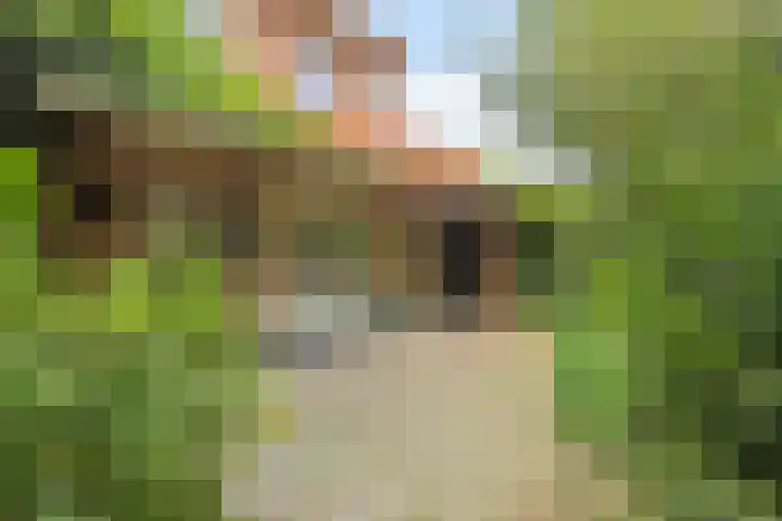 Kasennerweg 11 Bunde thumbnail 27